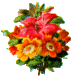 Flowers here